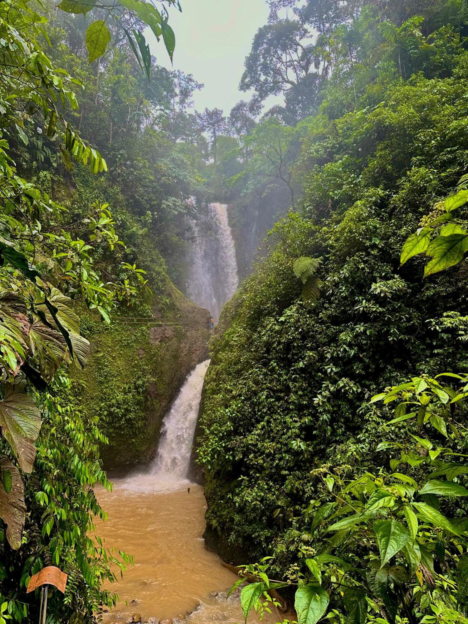 Amazon Puyu Glamping Hotel Parroquia Tarqui Luaran gambar